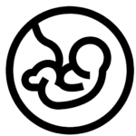 Acupunctuur bij zwangerschap en zwanger worden praktijk Ivo rijkers haarlem